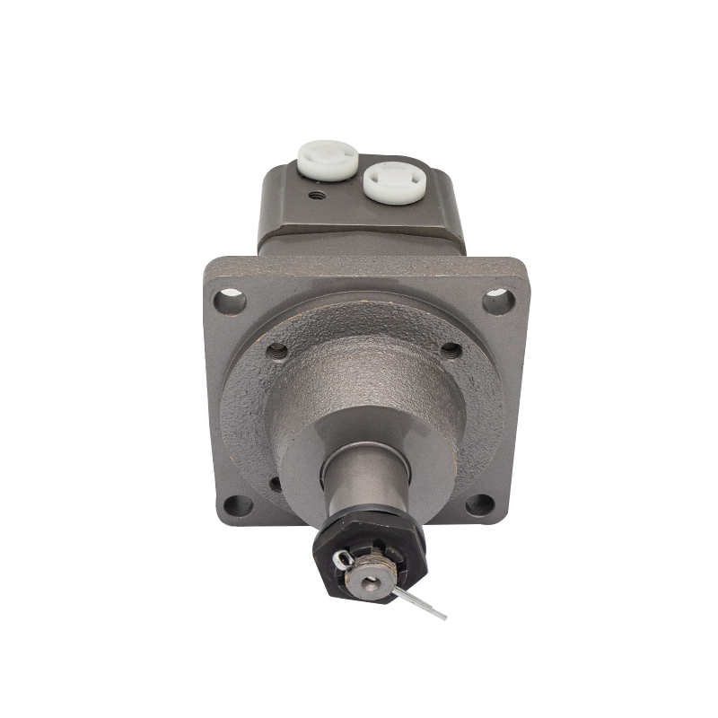 BM3W of BM3W100,BM3W125,BM3W160,BM3W200,BM3W250,BM3W315,BM3W400,BM3W500 hydraulic wheel motor BM3W of BM3W100,BM3W125,BM3W160,BM3W200,BM3W250,BM3W315,BM3W400,BM3W500 hydraulic wheel motor